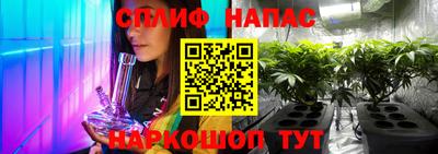 гашик Ирбит