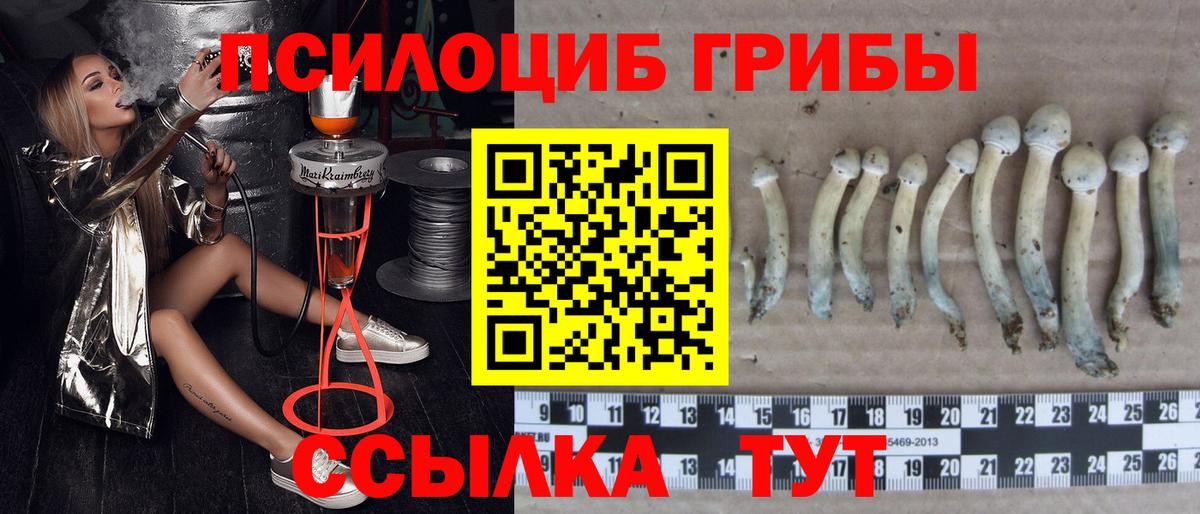 Галлюциногенные грибы GOLDEN TEACHER  Вход с VPN  Чапаевск 