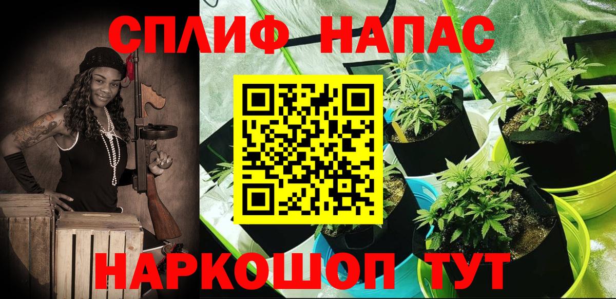 Марихуана индика  Вход с VPN  Бошки Шишки Amnesia  Канабис планчик  Марихуана ГИДРОПОН  Чапаевск 